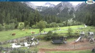 Archiv Foto Webcam Gernalm nahe Pertisau 15:00