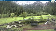 Archived image Webcam Gernalm / Pertisau 11:00