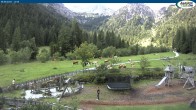 Archiv Foto Webcam Gernalm nahe Pertisau 11:00