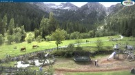 Archiv Foto Webcam Gernalm nahe Pertisau 13:00
