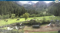 Archiv Foto Webcam Gernalm nahe Pertisau 15:00