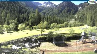 Archiv Foto Webcam Gernalm nahe Pertisau 11:00