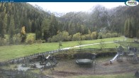 Archiv Foto Webcam Gernalm nahe Pertisau 15:00