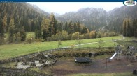 Archiv Foto Webcam Gernalm nahe Pertisau 13:00