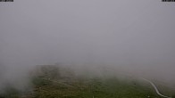 Archiv Foto Webcam Family Express Sessellift, Lofer 11:00