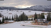 Archiv Foto Webcam Almenwelt Lofer: Rundwanderweg und Höhenloipe 11:00
