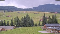 Archiv Foto Webcam Almenwelt Lofer: Rundwanderweg und Höhenloipe 11:00