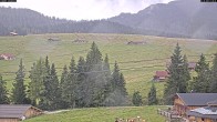 Archiv Foto Webcam Almenwelt Lofer: Rundwanderweg und Höhenloipe 11:00