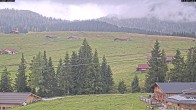 Archiv Foto Webcam Almenwelt Lofer: Rundwanderweg und Höhenloipe 11:00
