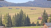 Archiv Foto Webcam Almenwelt Lofer: Rundwanderweg und Höhenloipe 11:00
