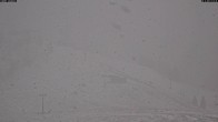 Archived image Webcam Loferer Alm: Schönbühel-view 09:00