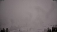 Archiv Foto Webcam Grubhörndl, Loferer Alm 17:00