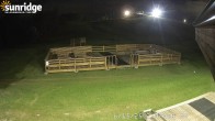 Archiv Foto Webcam Bunny Hill (Skigebiet Sunridge, Alberta) 01:00
