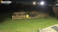 Archiv Foto Webcam Bunny Hill (Skigebiet Sunridge, Alberta) 23:00