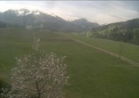 Archived image Webcam Hochfilzen, Tyrol 08:00