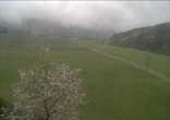 Archived image Webcam Hochfilzen, Tyrol 15:00
