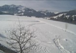 Archived image Webcam Hochfilzen, Tyrol 11:00