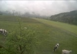 Archived image Webcam Hochfilzen, Tyrol 09:00