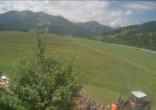 Archiv Foto Webcam Hochfilzen, Tirol 11:00