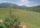 Archiv Foto Webcam Hochfilzen, Tirol 11:00