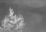 Archiv Foto Webcam Hochfilzen, Tirol 21:00