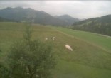 Archived image Webcam Hochfilzen, Tyrol 09:00