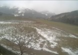 Archiv Foto Webcam Hochfilzen, Tirol 11:00