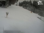 Archiv Foto Webcam Winterberg: Blick auf Talstation QuickJet 11:00