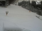 Archiv Foto Webcam Winterberg: Blick auf Talstation QuickJet 13:00