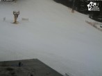 Archiv Foto Webcam Winterberg: Blick auf Talstation QuickJet 07:00