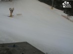 Archiv Foto Webcam Winterberg: Blick auf Talstation QuickJet 07:00