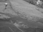 Archiv Foto Webcam Winterberg: Blick auf Talstation QuickJet 21:00