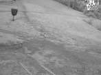 Archiv Foto Webcam Winterberg: Blick auf Talstation QuickJet 21:00