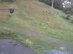 Archived image Webcam Winterberg: Quick Jet lift base station 13:00