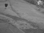 Archived image Webcam Winterberg: Quick Jet lift base station 21:00