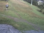 Archiv Foto Webcam Winterberg: Blick auf Talstation QuickJet 07:00