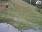 Archiv Foto Webcam Winterberg: Blick auf Talstation QuickJet 11:00