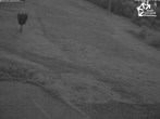 Archiv Foto Webcam Winterberg: Blick auf Talstation QuickJet 21:00