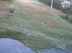 Archiv Foto Webcam Winterberg: Blick auf Talstation QuickJet 05:00