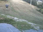 Archiv Foto Webcam Winterberg: Blick auf Talstation QuickJet 05:00
