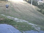 Archiv Foto Webcam Winterberg: Blick auf Talstation QuickJet 06:00
