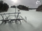 Archiv Foto Webcam Winterberg: Blick Büre Bremberg X-Press 11:00