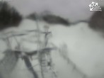 Archiv Foto Webcam Winterberg: Blick Büre Bremberg X-Press 09:00