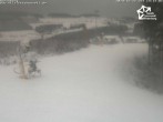 Archived image Webcam Winterberg: View from &#39;Sürenberg&#39; 13:00