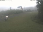 Archiv Foto Webcam Winterberg: Blick vom Sürenberg 05:00