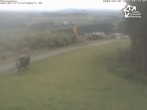 Archiv Foto Webcam Winterberg: Blick vom Sürenberg 07:00