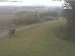Archiv Foto Webcam Winterberg: Blick vom Sürenberg 11:00