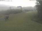 Archived image Webcam Winterberg: View from &#39;Sürenberg&#39; 06:00