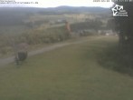 Archived image Webcam Winterberg: View from &#39;Sürenberg&#39; 11:00