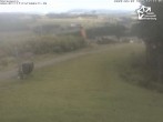 Archived image Webcam Winterberg: View from &#39;Sürenberg&#39; 11:00